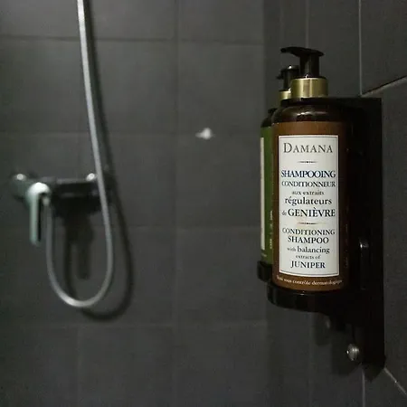 Batalha Mezzanine Penthouse 아파트